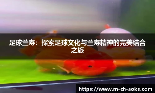 足球兰寿：探索足球文化与兰寿精神的完美结合之旅
